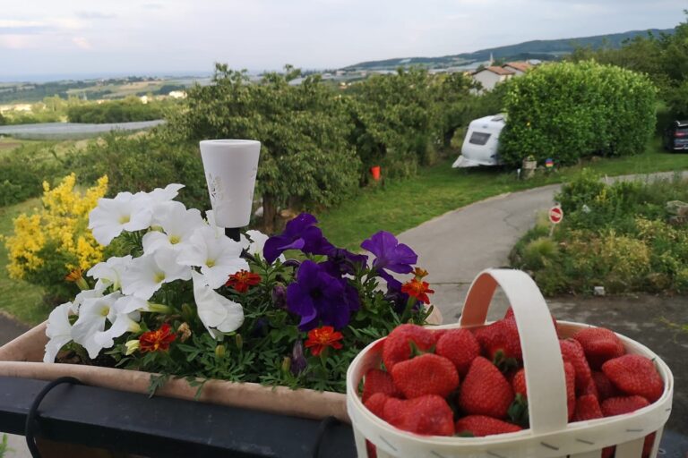 Aire Naturelle De Camping Les Cerisiers - Bild 12