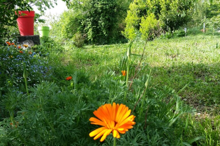 Aire Naturelle De Camping Les Cerisiers - Bild 13