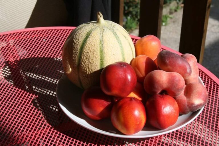 Aire Naturelle De Camping Les Cerisiers - Bild 14