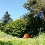 Aire Naturelle De Camping Les Cerisiers - Bild 4