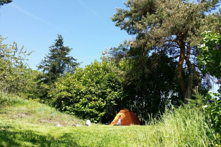 Aire Naturelle De Camping Les Cerisiers - Bild 4