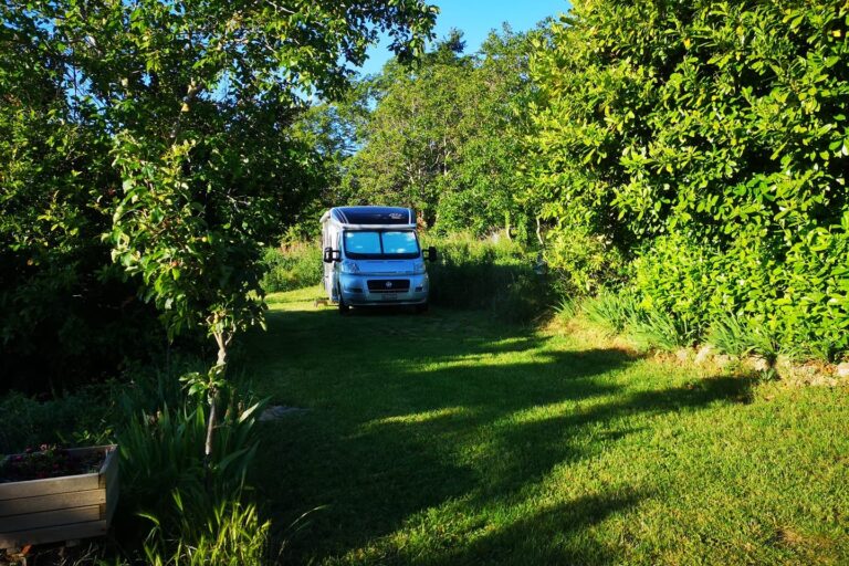 Aire Naturelle De Camping Les Cerisiers - Bild 5