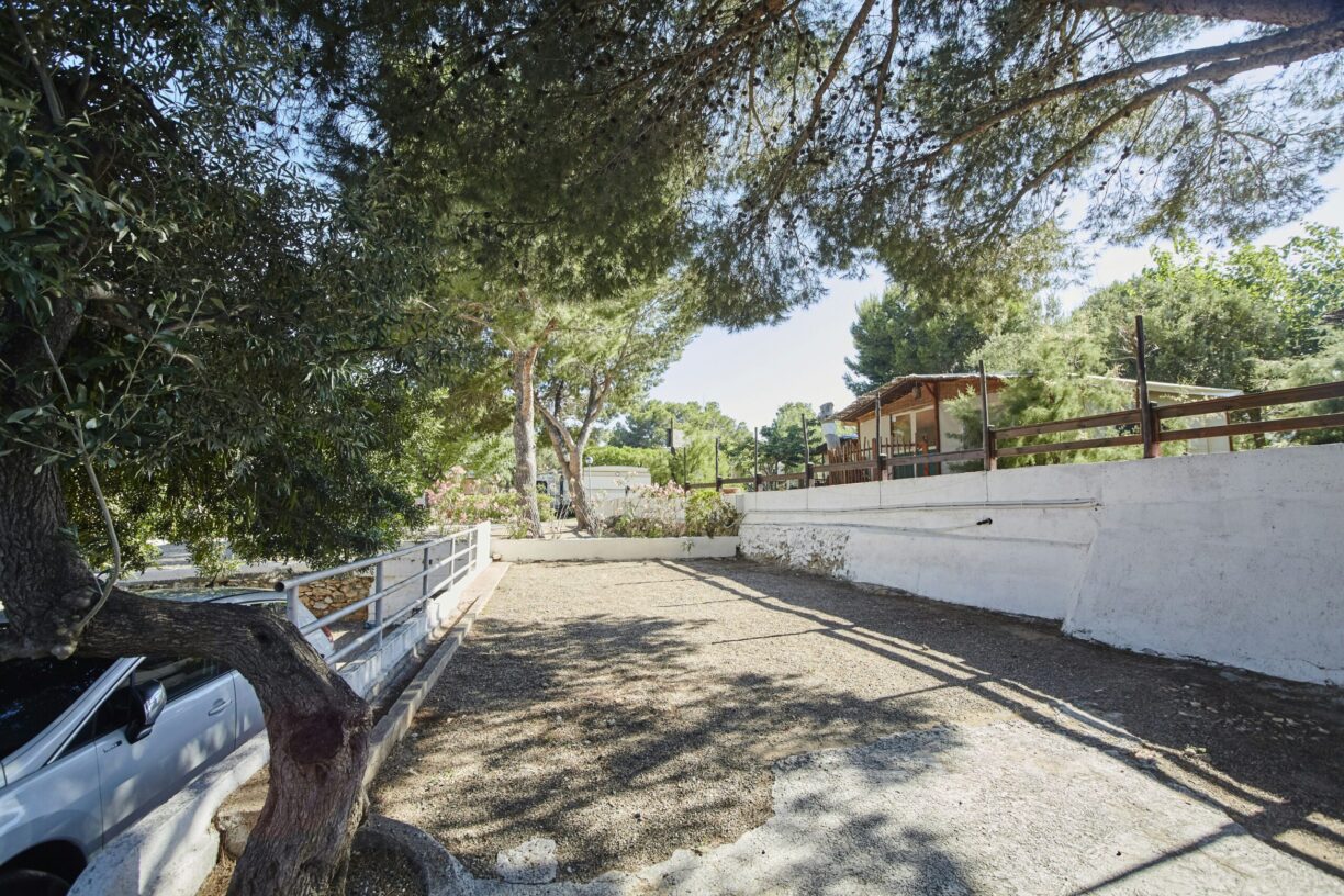 Alannia Costa Dorada - Bild 11 Alannia Costa Dorada - Bild 11