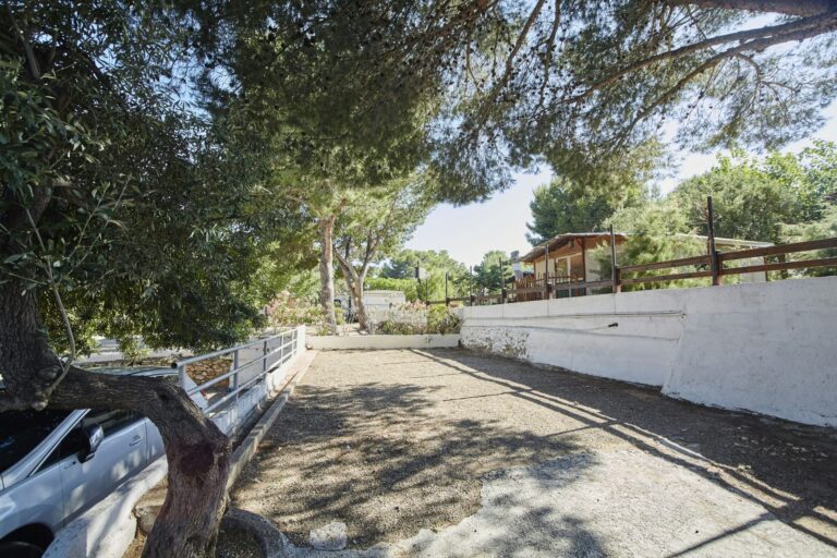 Alannia Costa Dorada - Bild 11 Alannia Costa Dorada - Bild 11