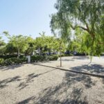 Alannia Costa Dorada - Bild 15 Alannia Costa Dorada - Bild 15