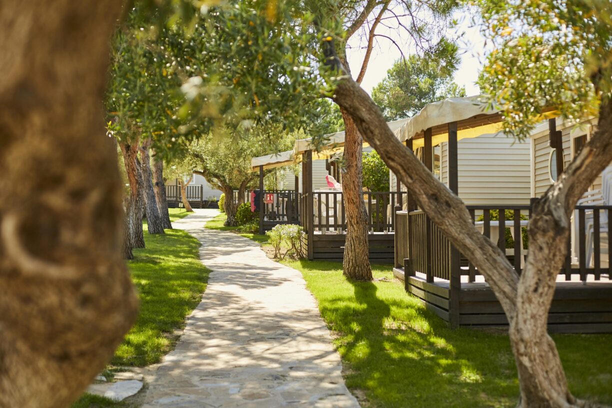 Alannia Costa Dorada - Bild 2 Alannia Costa Dorada - Bild 2