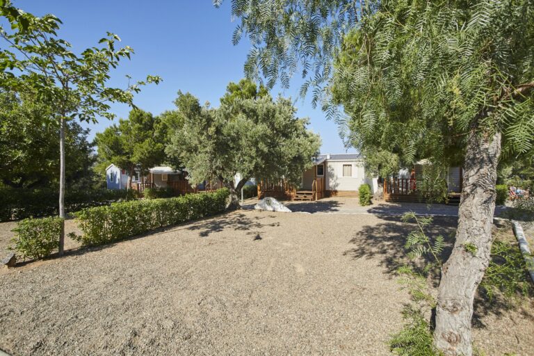 Alannia Costa Dorada - Bild 8 Alannia Costa Dorada - Bild 8