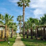 Alannia Els Prats - Bild 1 Alannia Els Prats - Bild 1