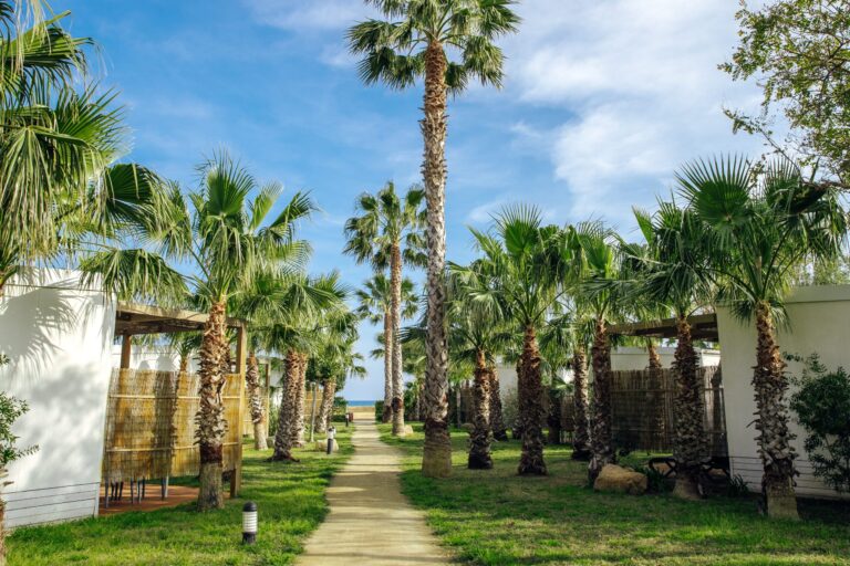 Alannia Els Prats - Bild 1