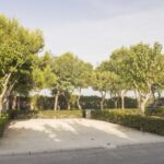 Alannia Guardamar - Bild 13 Alannia Guardamar - Bild 13