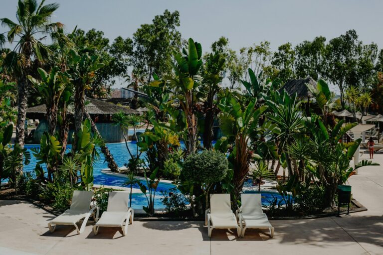 Alannia Guardamar - Bild 17 Alannia Guardamar - Bild 17