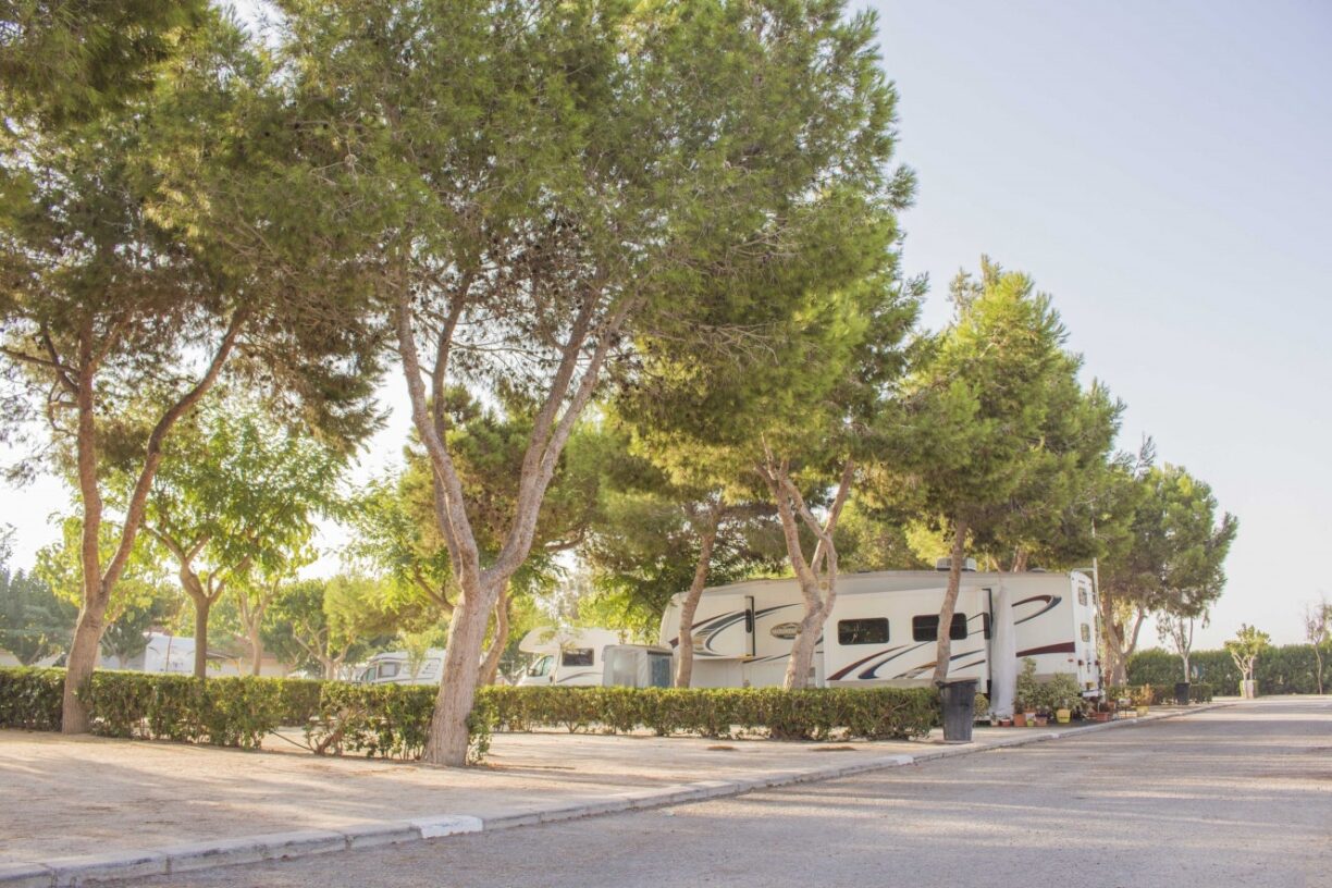 Alannia Guardamar - Bild 1 Alannia Guardamar - Bild 1