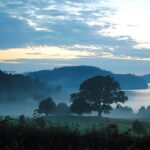 Anfasteröd Gårdsvik - Bild 1