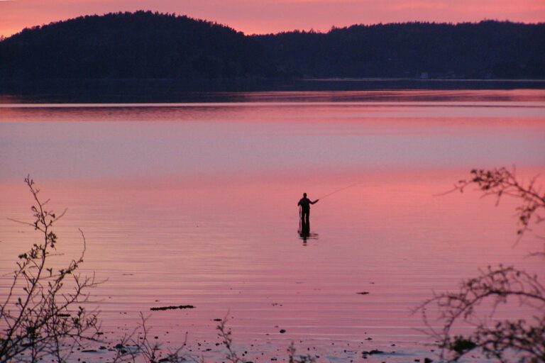 Anfasteröd Gårdsvik - Bild 14