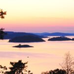 Anfasteröd Gårdsvik - Bild 4