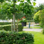 Aquacamping En Jachthaven De Rakken - Bild 4