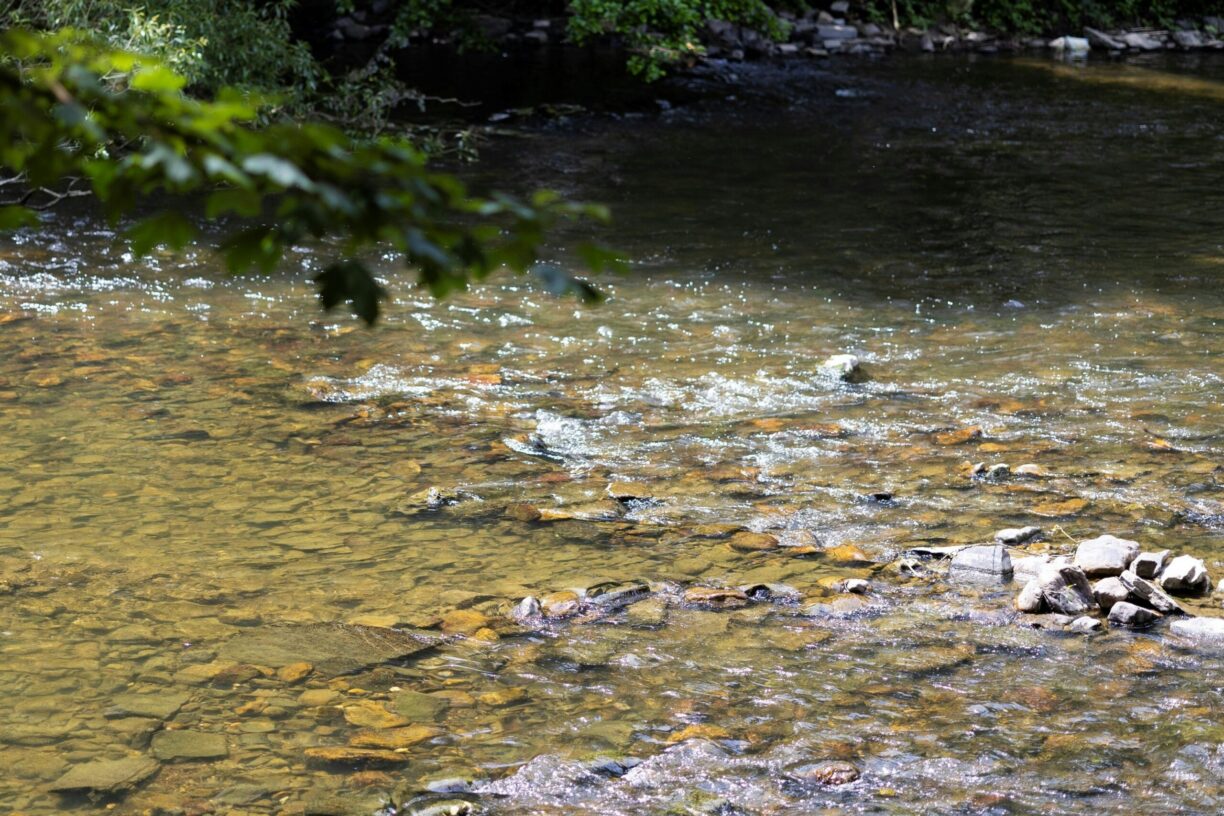 Arden Parks Durbuy - Bild 4 Arden Parks Durbuy - Bild 4