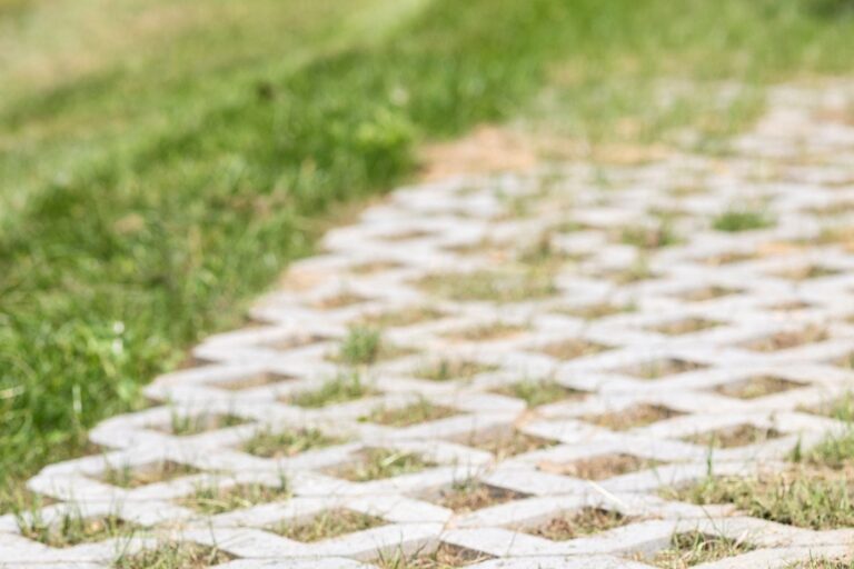 Arden Parks Durbuy - Bild 5 Arden Parks Durbuy - Bild 5