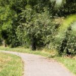 Arden Parks Durbuy - Bild 6 Arden Parks Durbuy - Bild 6