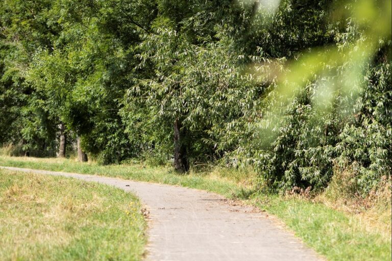 Arden Parks Durbuy - Bild 6 Arden Parks Durbuy - Bild 6