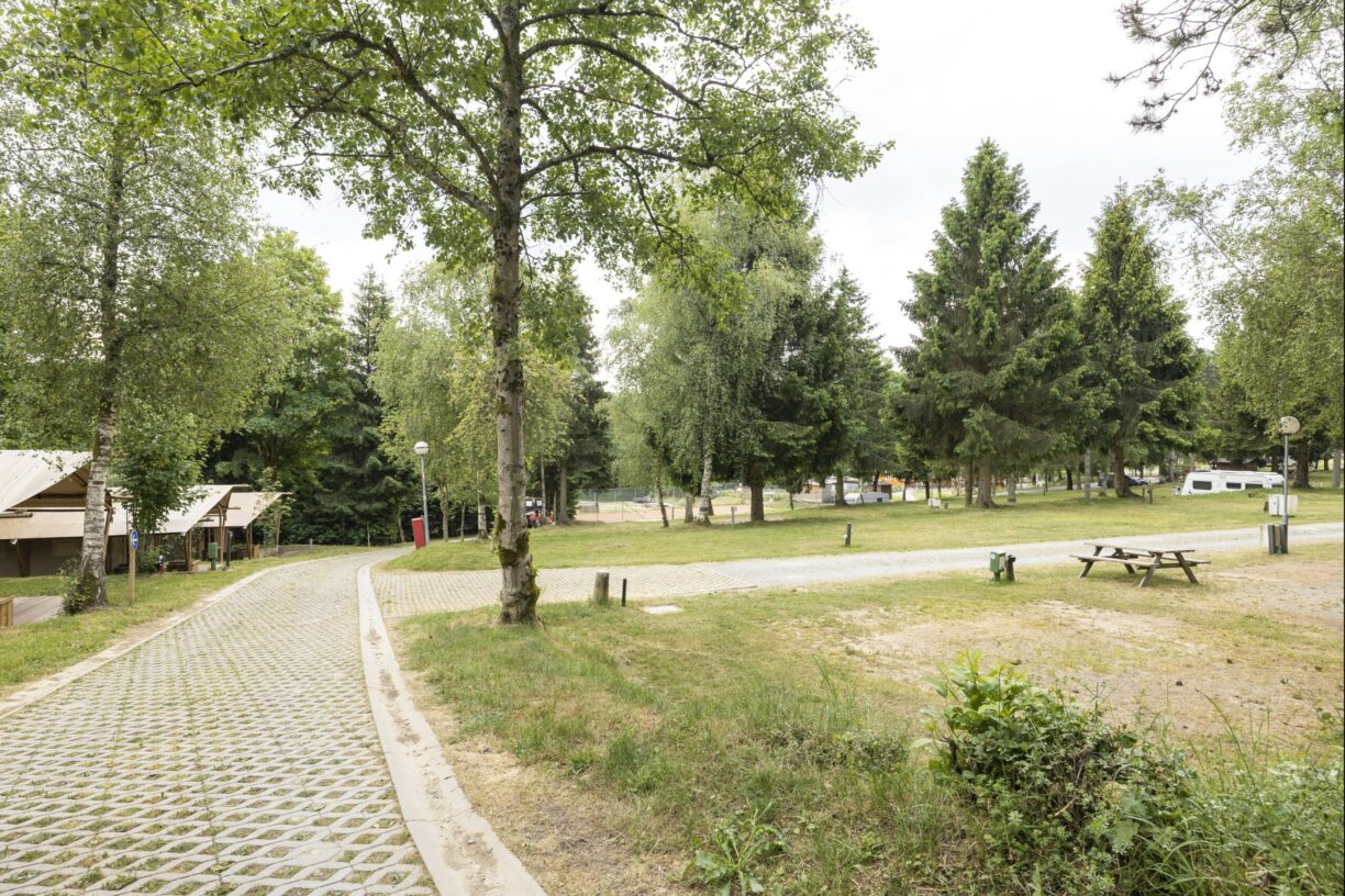 Arden Parks Petite Suisse - Bild 1 Arden Parks Petite Suisse - Bild 1