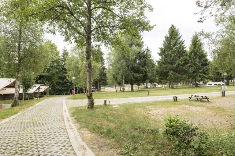 Arden Parks Petite Suisse - Bild 1