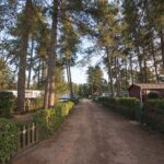 Arden Parks Tulderheyde - Bild 16