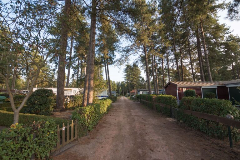 Arden Parks Tulderheyde - Bild 16