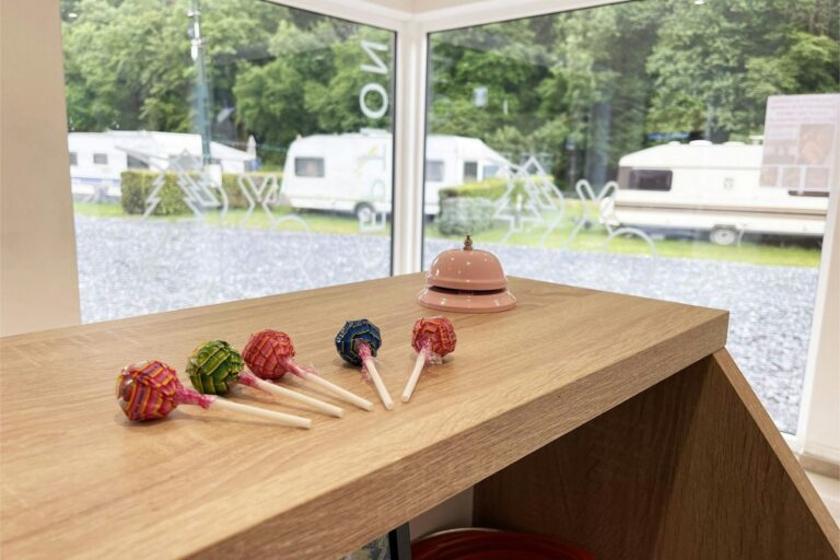 Ardenne Camping Mâboge - Bild 13