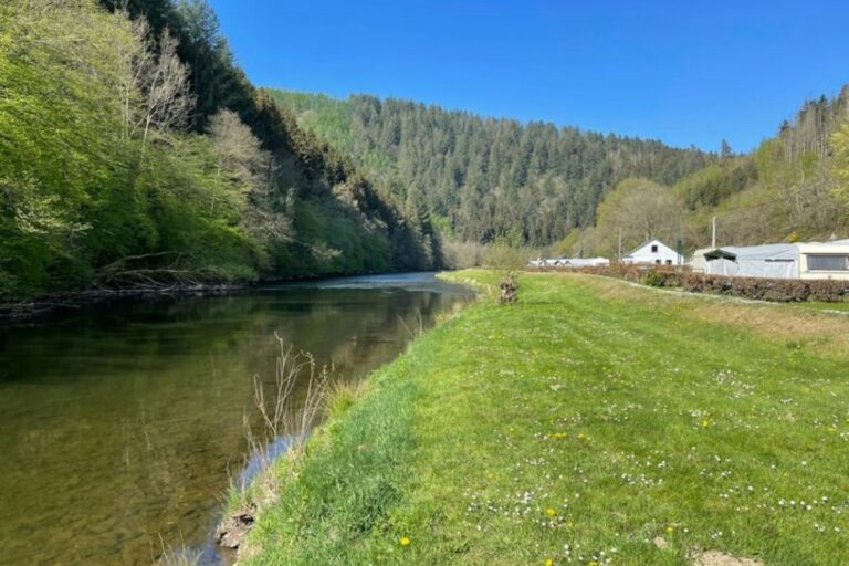 Ardenne Camping Mâboge - Bild 19