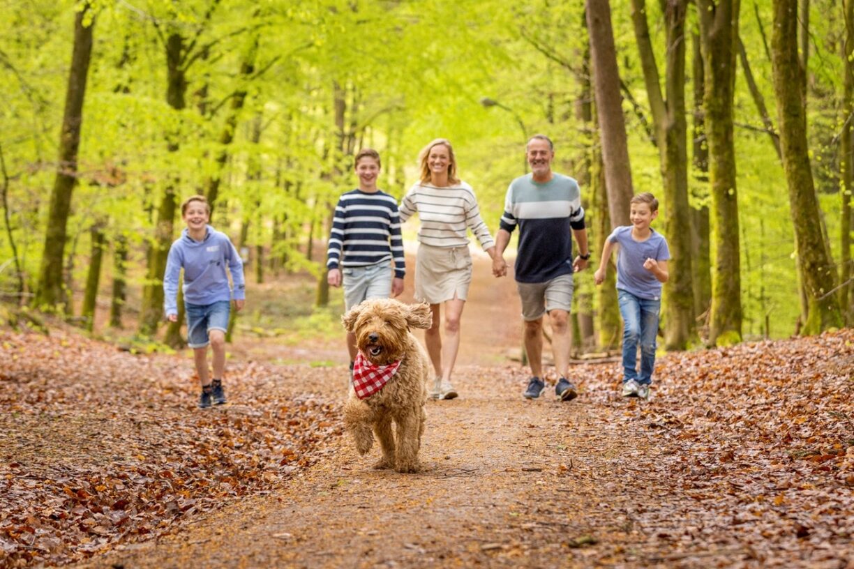 Ardennen Camping Bertrix - Bild 13 Ardennen Camping Bertrix - Bild 13