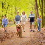 Ardennen Camping Bertrix - Bild 13 Ardennen Camping Bertrix - Bild 13