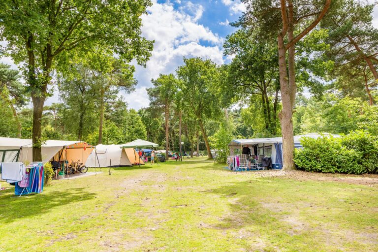 Ardoer Camping De Haeghehorst - Bild 12