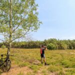 Ardoer Camping De Holterberg - Bild 9