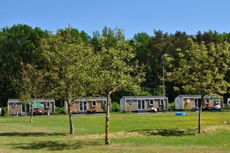 Camping De Reeënwissel - Bild 1