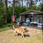 Ardoer Camping Diana Heide - Bild 18