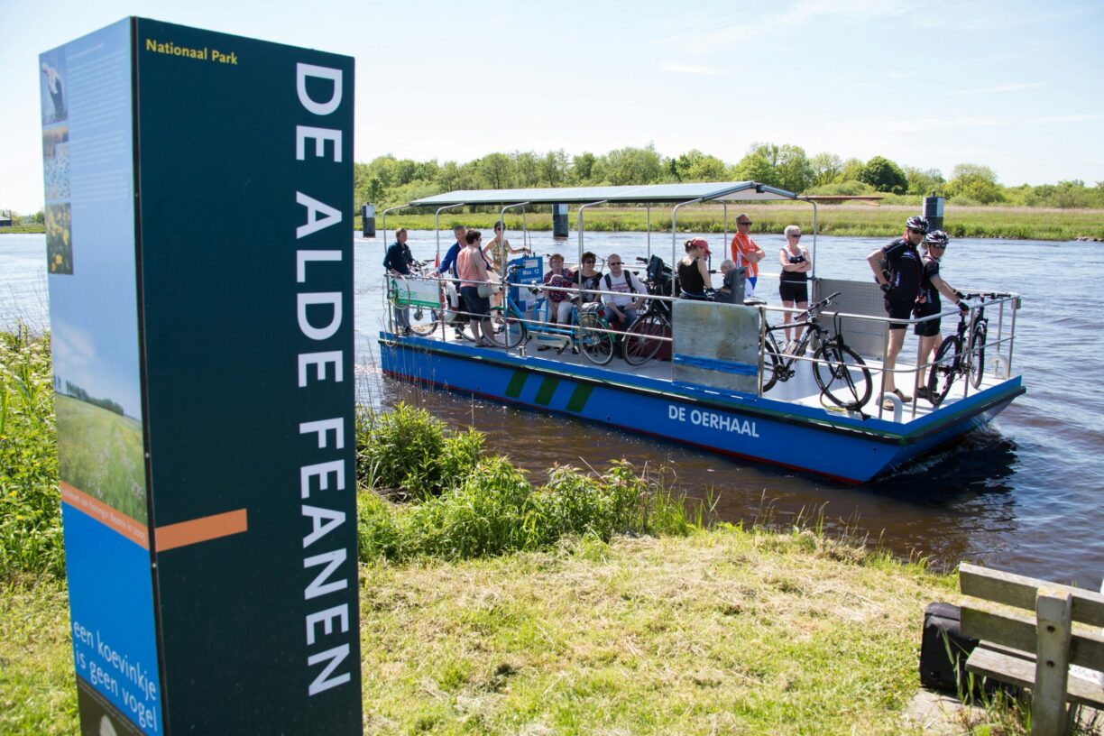 Ardoer Camping It Wiid - Bild 10 Ardoer Camping It Wiid - Bild 10