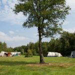 Ardoer Camping It Wiid - Bild 11 Ardoer Camping It Wiid - Bild 11