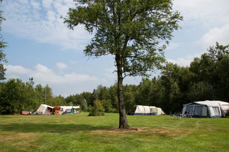 Ardoer Camping It Wiid - Bild 11 Ardoer Camping It Wiid - Bild 11