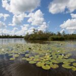 Ardoer Camping It Wiid - Bild 8 Ardoer Camping It Wiid - Bild 8