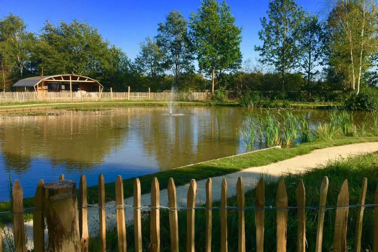 Ardoer Vakantiepark 't Rheezerwold - Bild 12 Ardoer Vakantiepark 't Rheezerwold - Bild 12