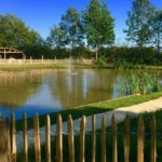 Ardoer Vakantiepark 't Rheezerwold - Bild 12 Ardoer Vakantiepark 't Rheezerwold - Bild 12