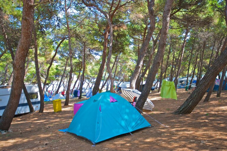 Arena Stupice Campsite - Bild 7