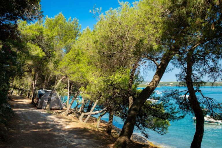 Arena Tašalera Campsite - Bild 13