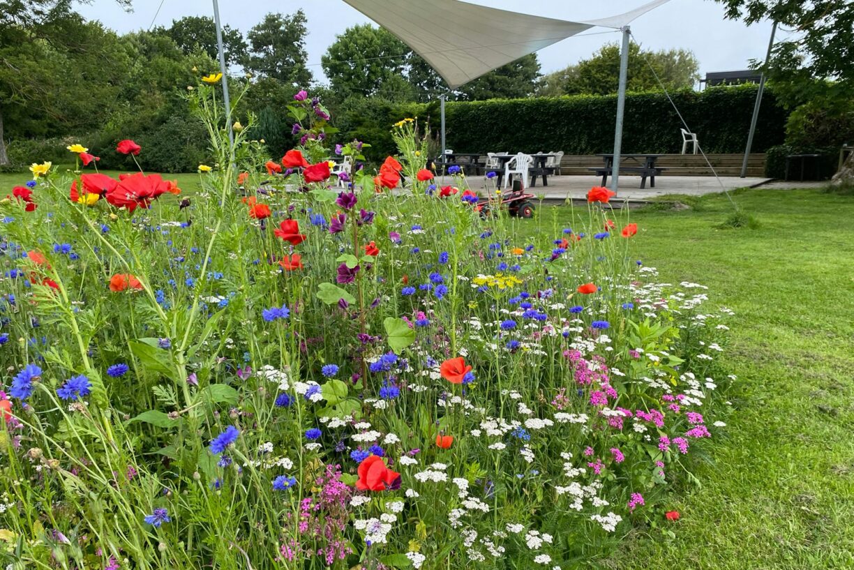 Asaa Camping & Hytteferie - Bild 8 Asaa Camping & Hytteferie - Bild 8