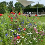 Asaa Camping & Hytteferie - Bild 8 Asaa Camping & Hytteferie - Bild 8