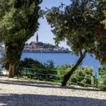 Porton Nature Hideouts - Bild 1 Porton Nature Hideouts - Bild 1