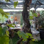 Aux Lodges Du Mas De Nadal - Bild 11