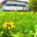 Azur Camping Regensburg - Bild 19