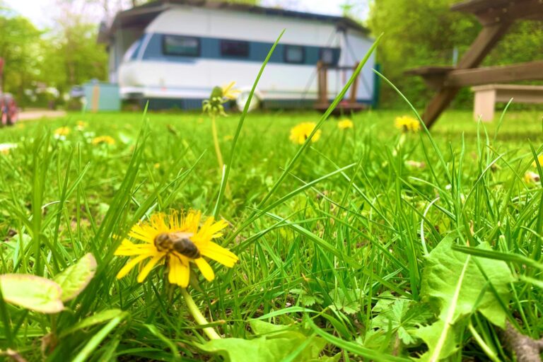 Azur Camping Regensburg - Bild 19